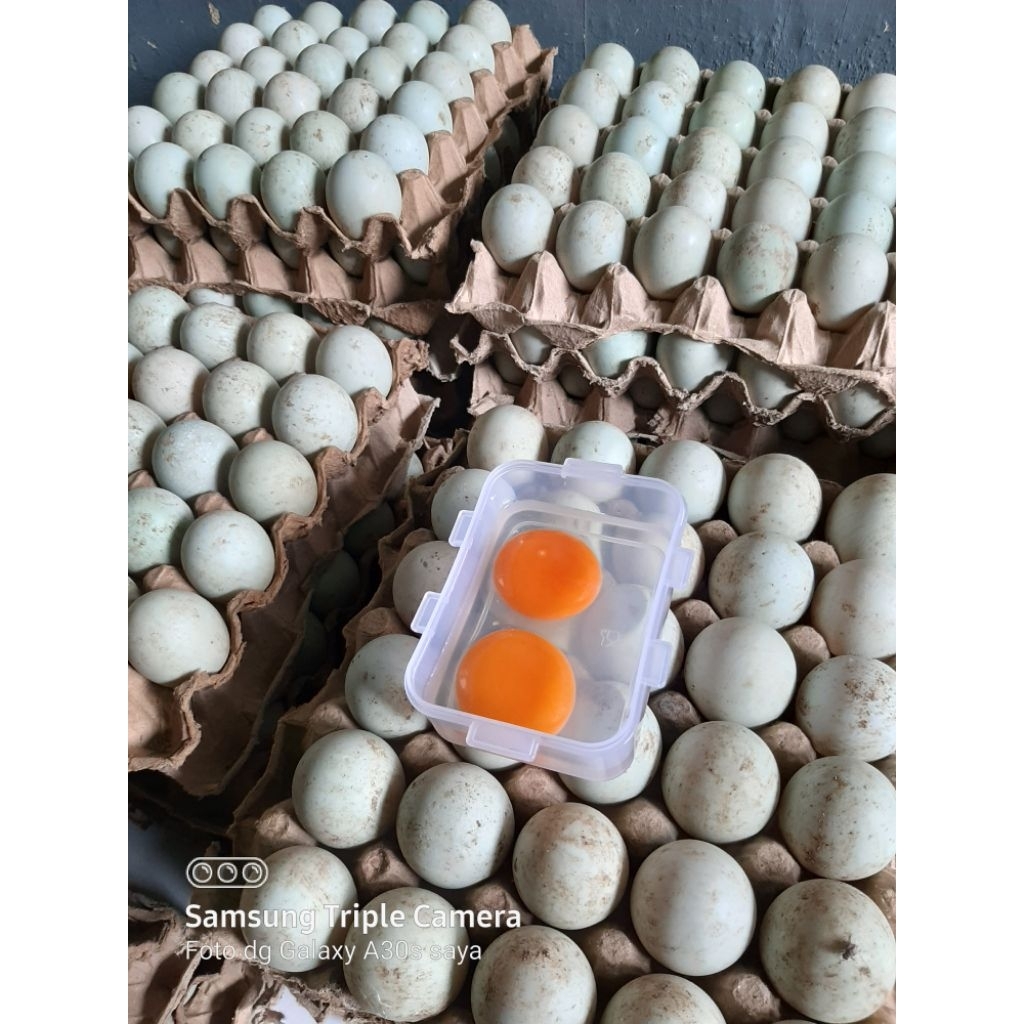 

paket hemat 20 butir telur bebek fresh