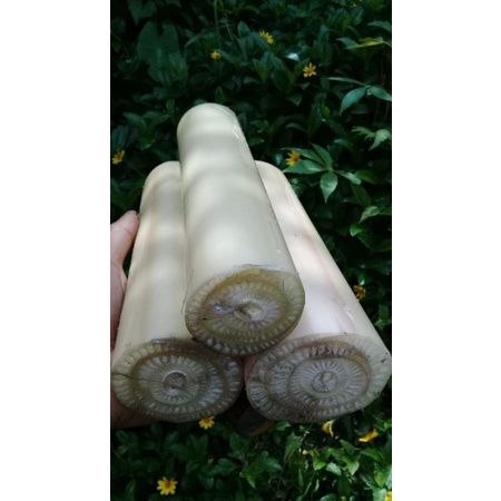 

Hati pohon pisang kepok 1kg