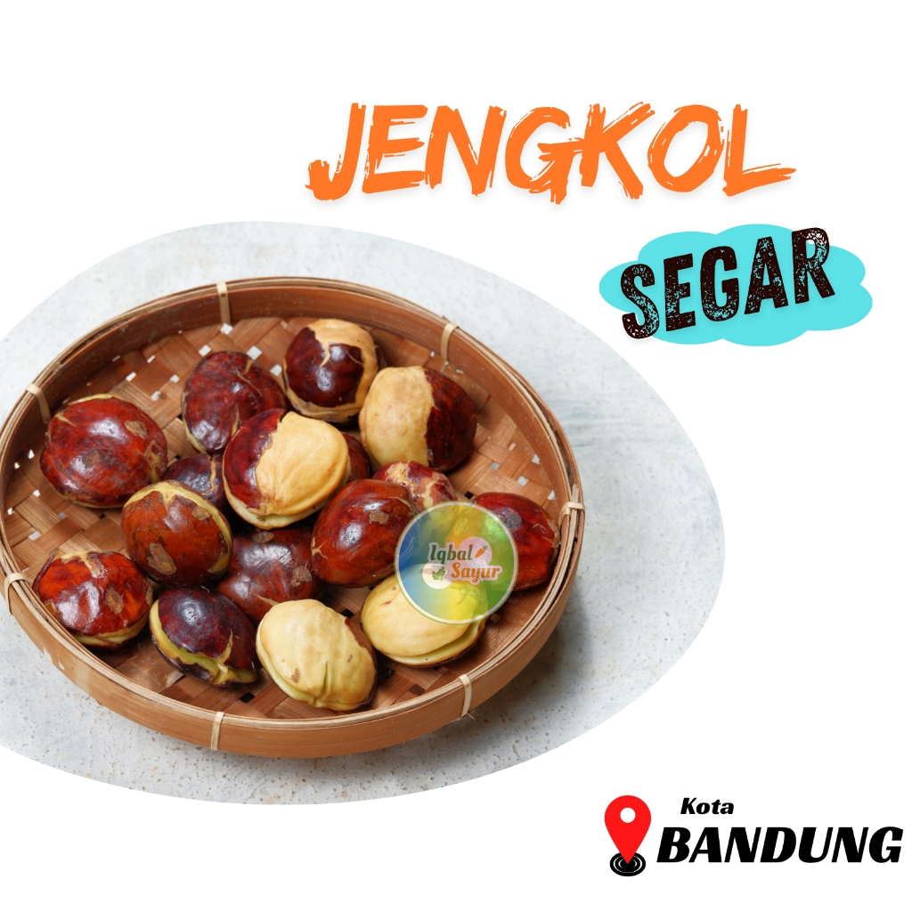

Jengkol Paluk Besar Segar Bandung