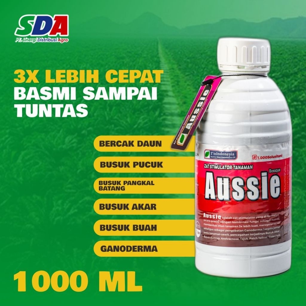 

AUSSIE 1000 ML / 1 LITER