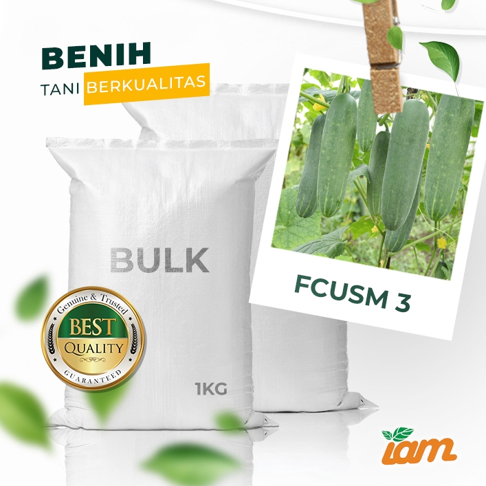 

BULK 1kg – timun F1 (FCUSM 3)