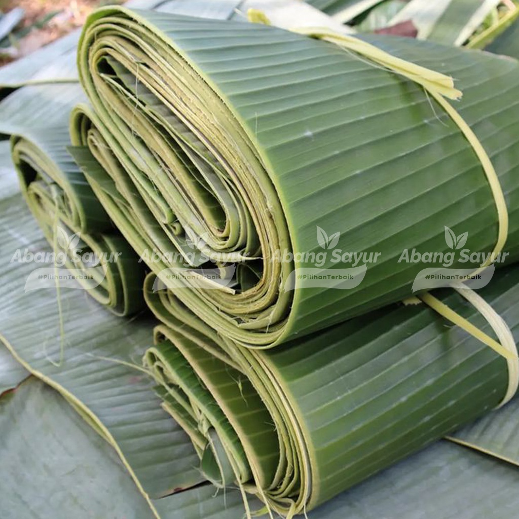 

Daun Pisang Segar 1 Ikat – Untuk Bungkus Pepes & Kue Tradisional