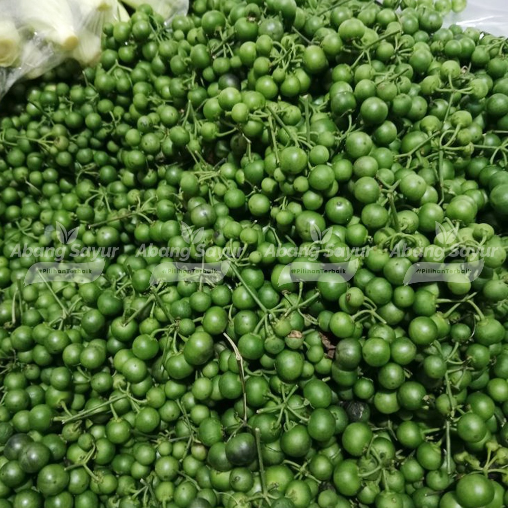 

Lencak / Leunca / Lenca 250gr – Kirim Instant Bandung Sayur Segar (Fresh Harian) - Sayur Khas Sunda