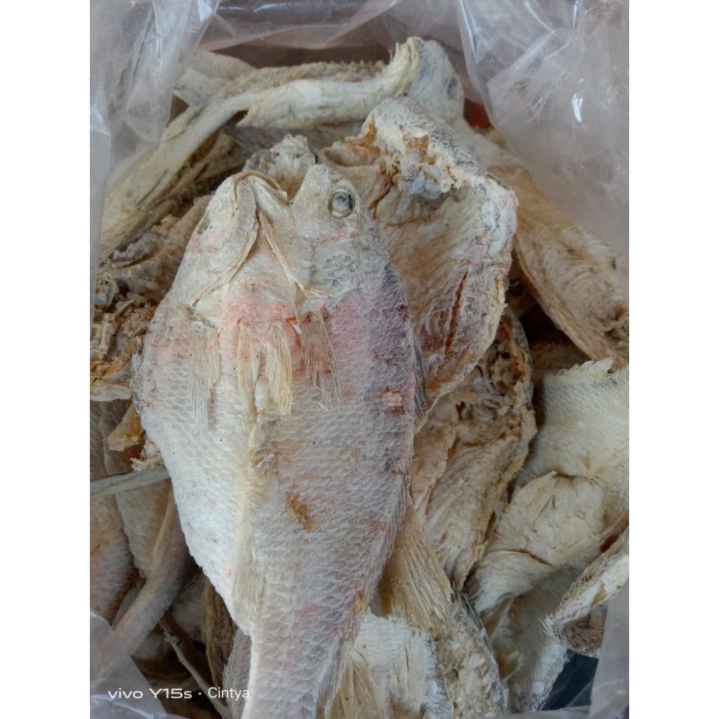 

ikan asin kepala batu belah kualitas premium