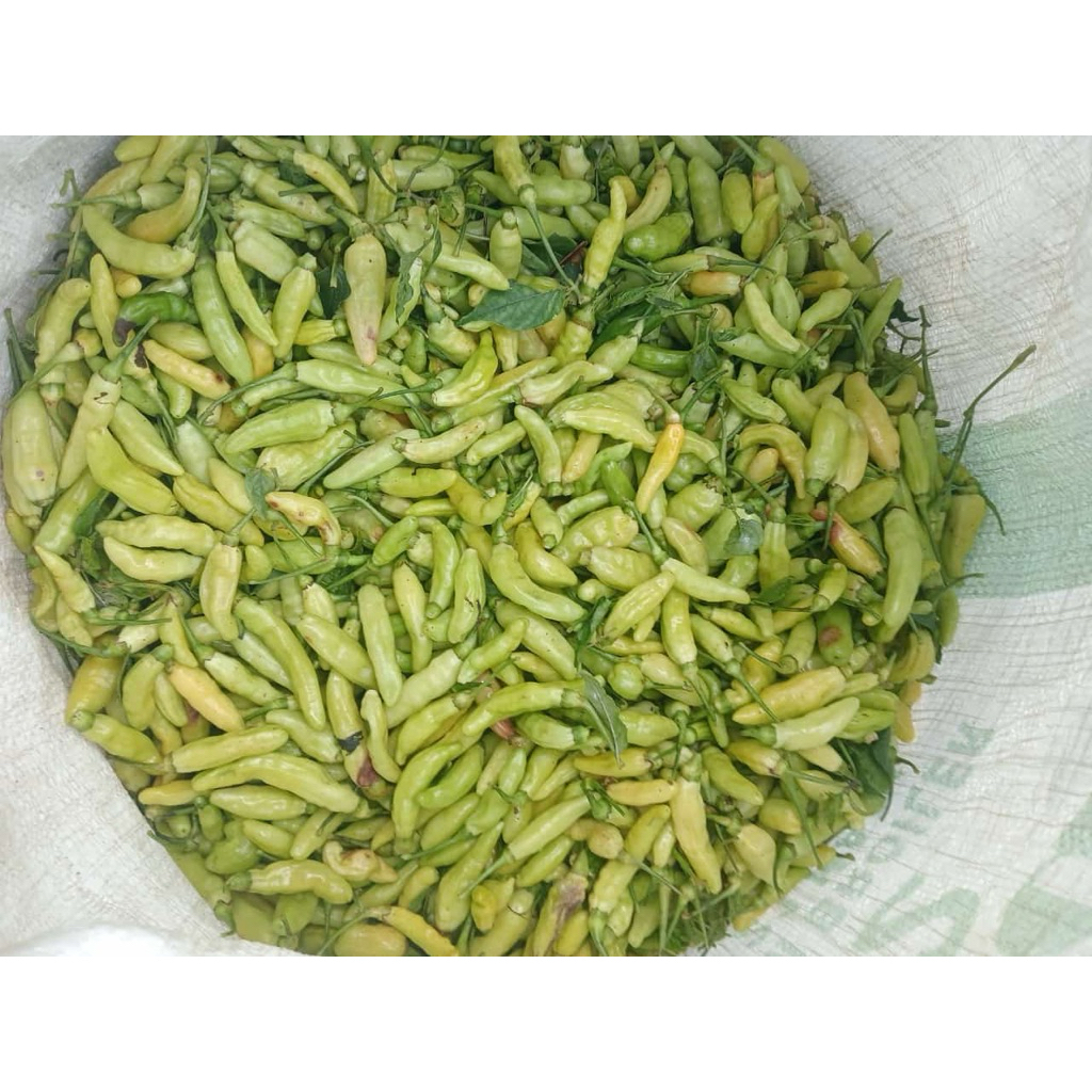 

Rawit putih hijau 1kg-cabe rawit putih hijau fresh