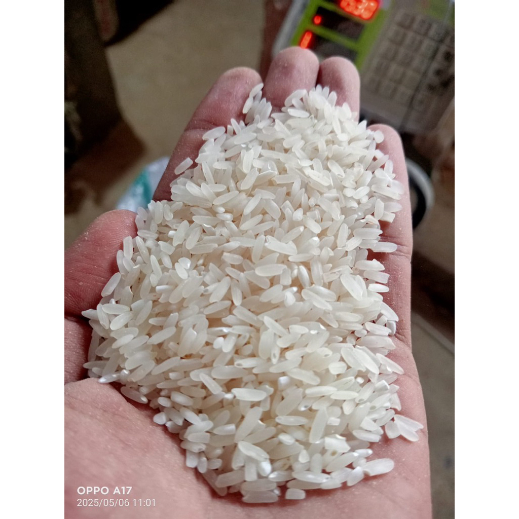 

Beras Rojolele Super 15kg – Pulen & Harum