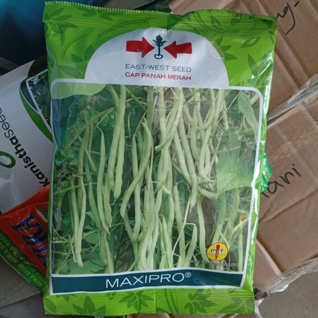 

benih buncis maxipro 500 gram cap panah merah