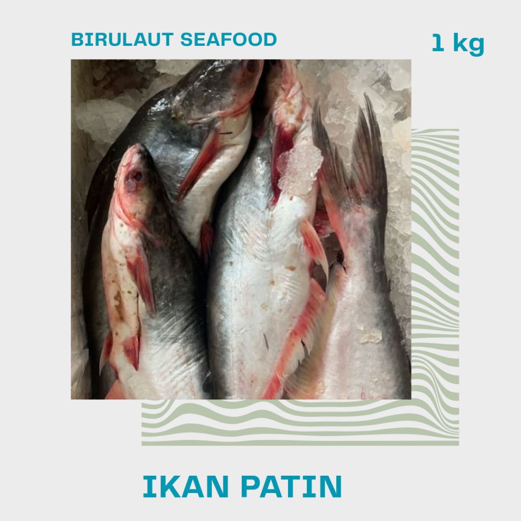 

IKAN PATIN SEGAR 1kg