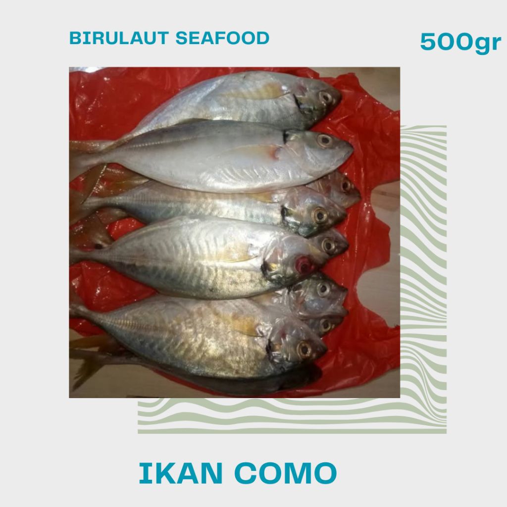 

IKAN KEMBUNG COMO SEGAR 500gr
