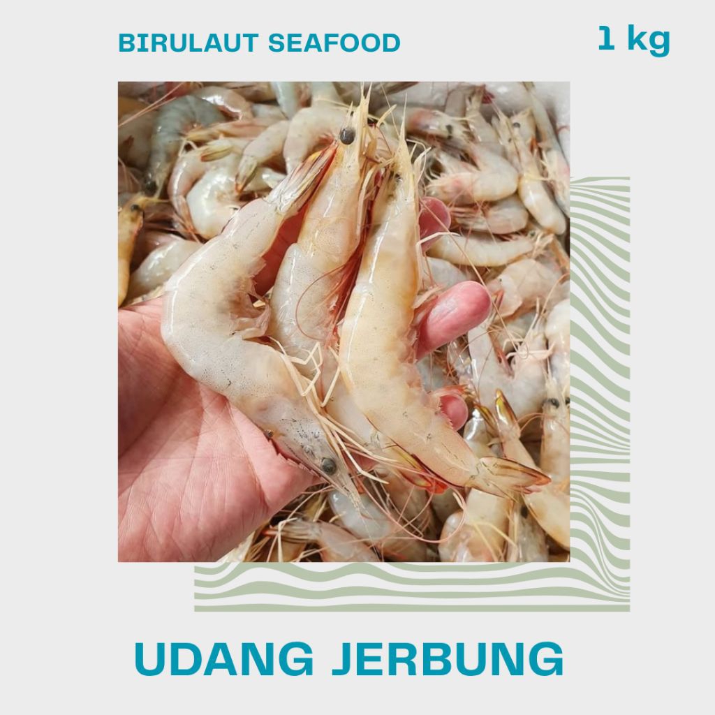 

UDANG JERBUNG 1kg