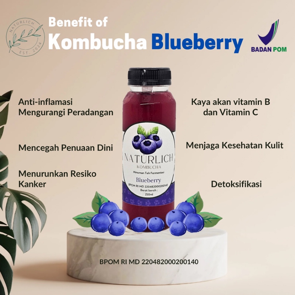 

Kombucha Blueberry Naturlich 100 ml Teh Fermentasi, kaya probiotik