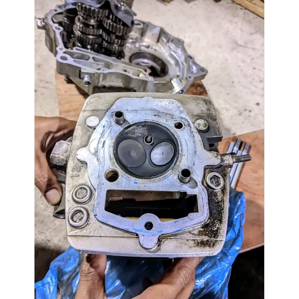 head ori tiger original copotan Tiger lama/revo
