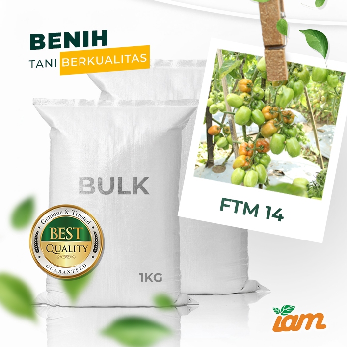 

BULK 1kg – tomat l F1 (FTM 14)