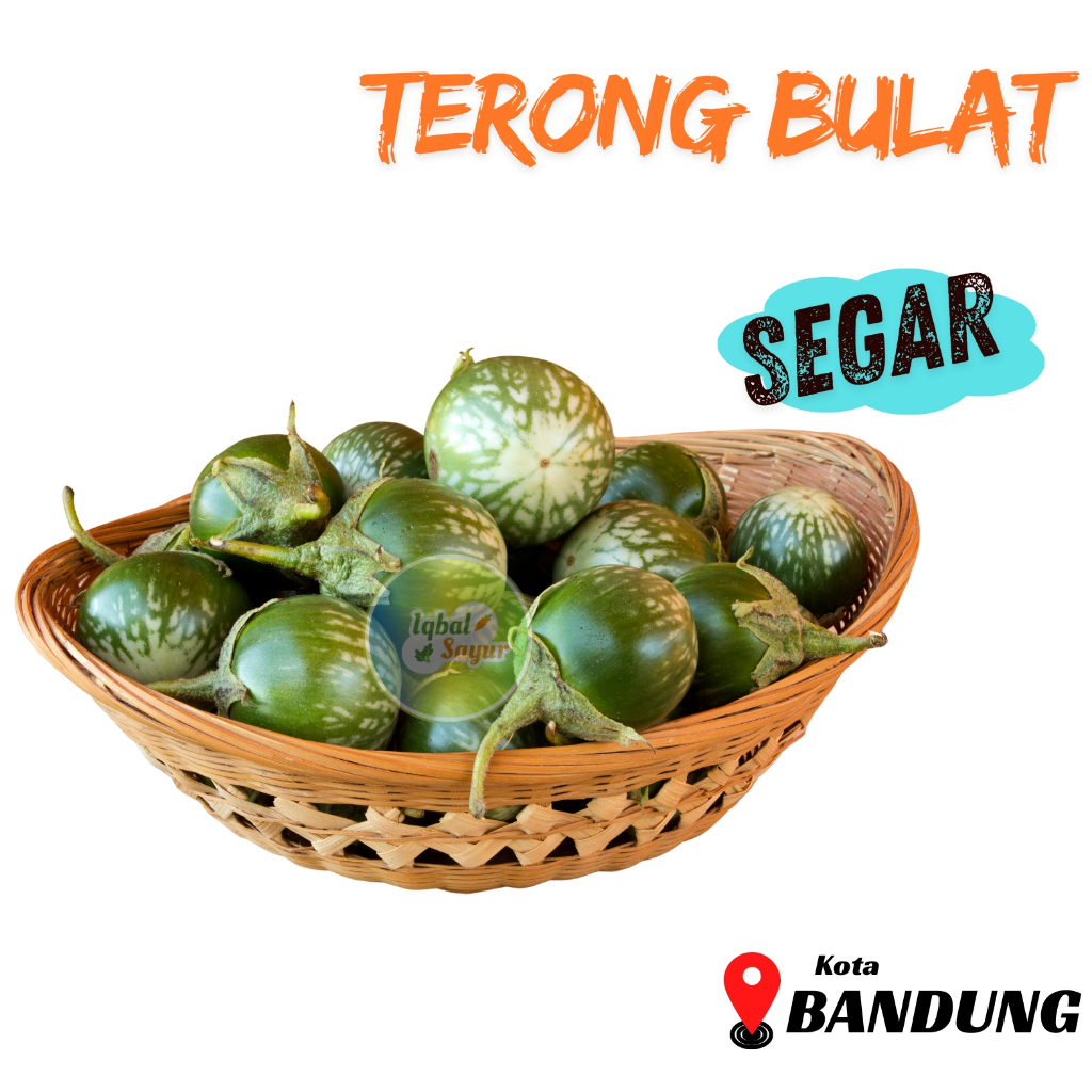 

Terong Bulat Segar Bandung