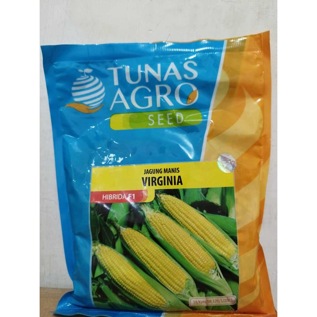 

JUAL BENIH JAGUNG MANIS VIRGINA hibrida f 250gr TUNAS AGRO SEED