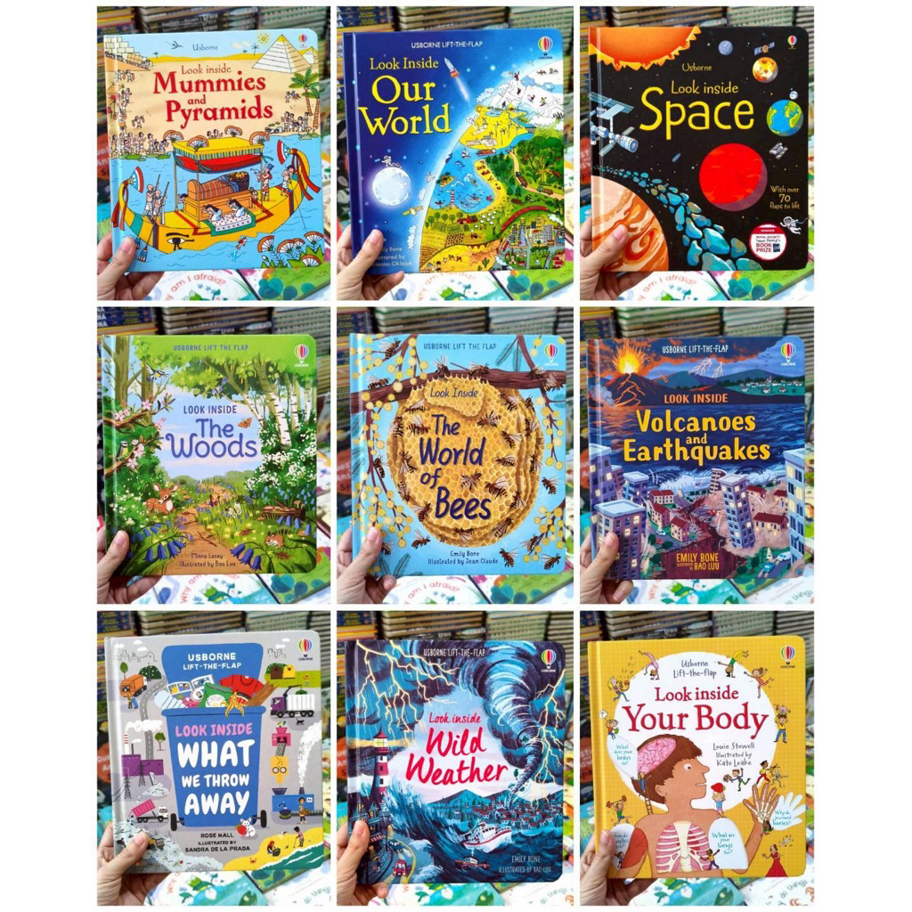 Usborne LOOK INSIDE Original