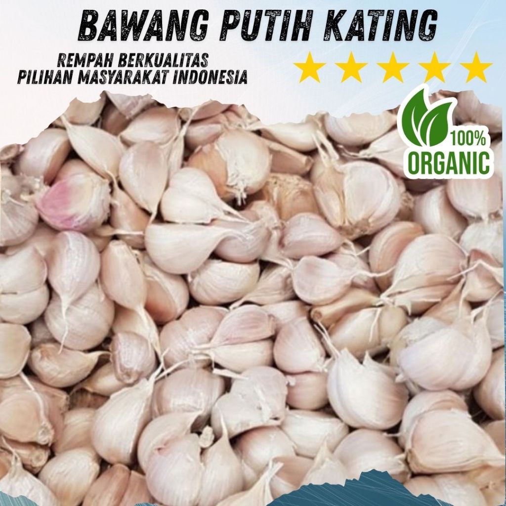 

REMPATERA - Promo Bawang Kating Potek Segar Pilihan