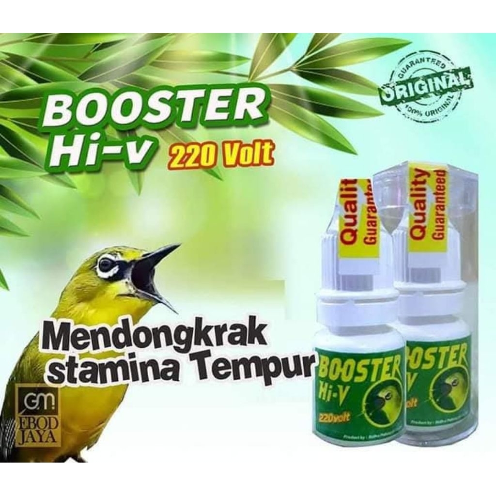 BOOSTER PLECI220volt
