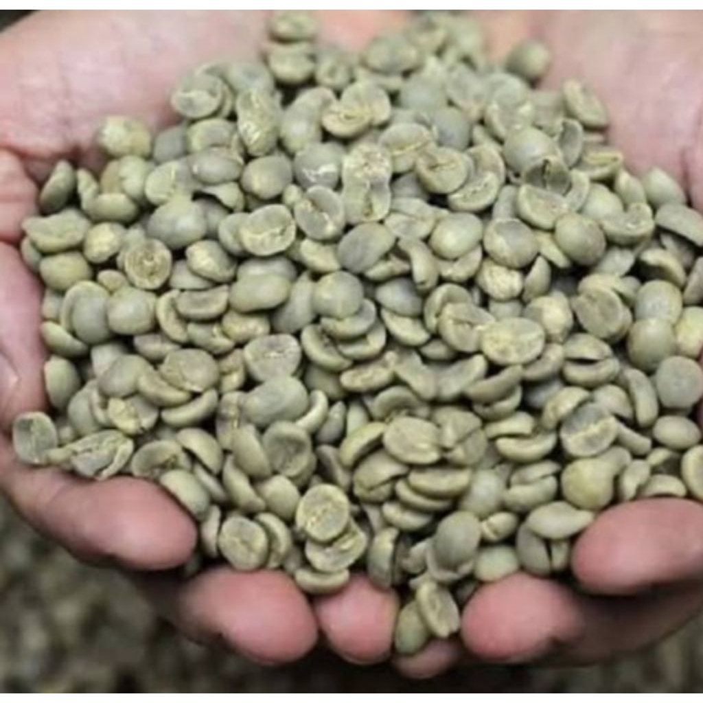 

KopiLampungKopiAsliGunungBetung