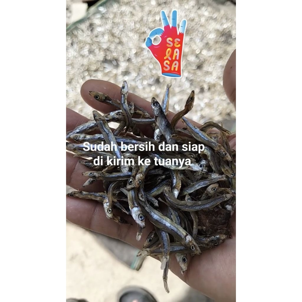 

Teri kering Lombok