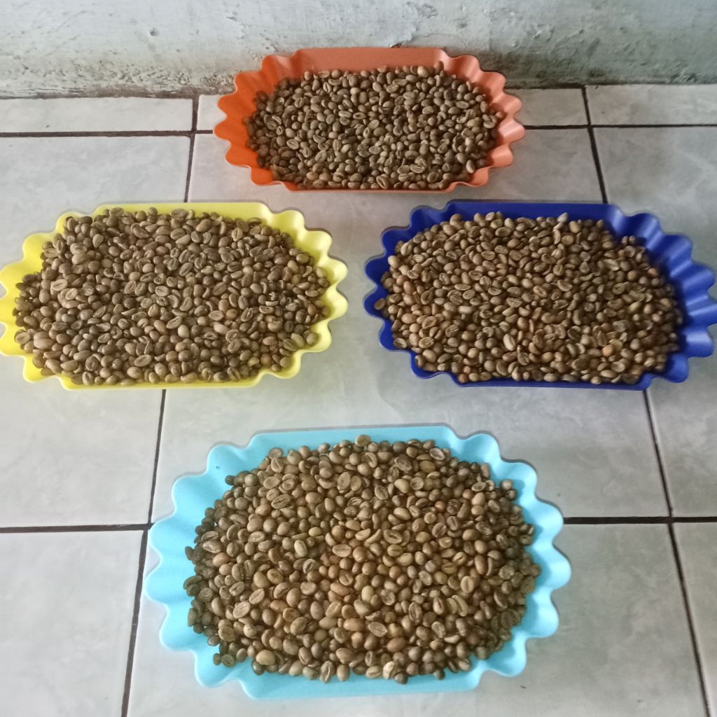 

robusta temanggung g1