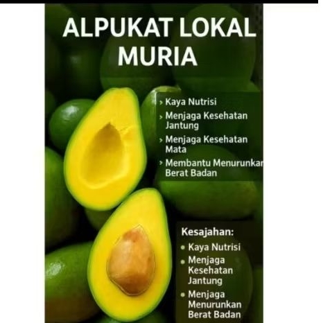 

Alpukat mentega muria isi 3,4,5,6.(grade B&C)