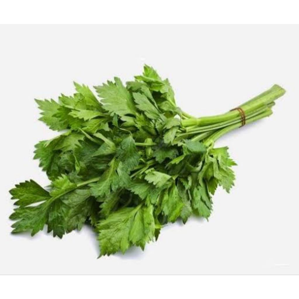 

daun sledri/sop ikat kecil bppn