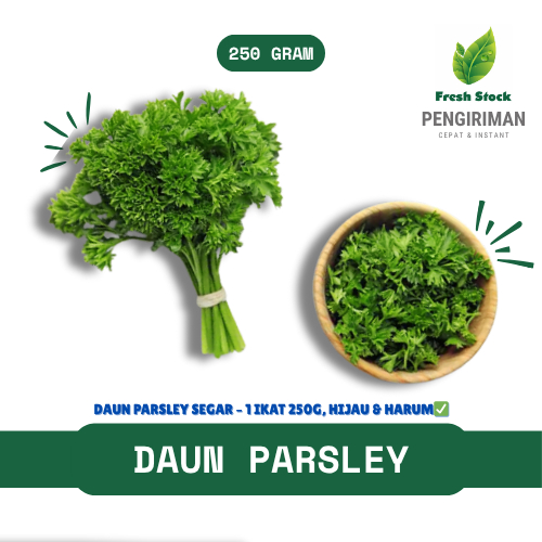 

DAUN PARSLEY FRESH | FreshStock