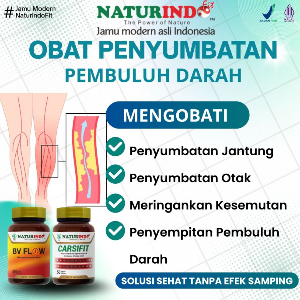 Obat Herbal Penyumbatan Pembuluh Darah Varises Kesemutan Kram Bv Flow Naturindo