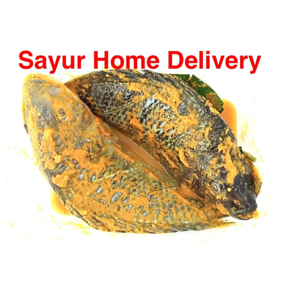 

SayurHD Ikan Mujair Bumbu Kuning Siap Goreng 1 Kotak isi 2 Ekor