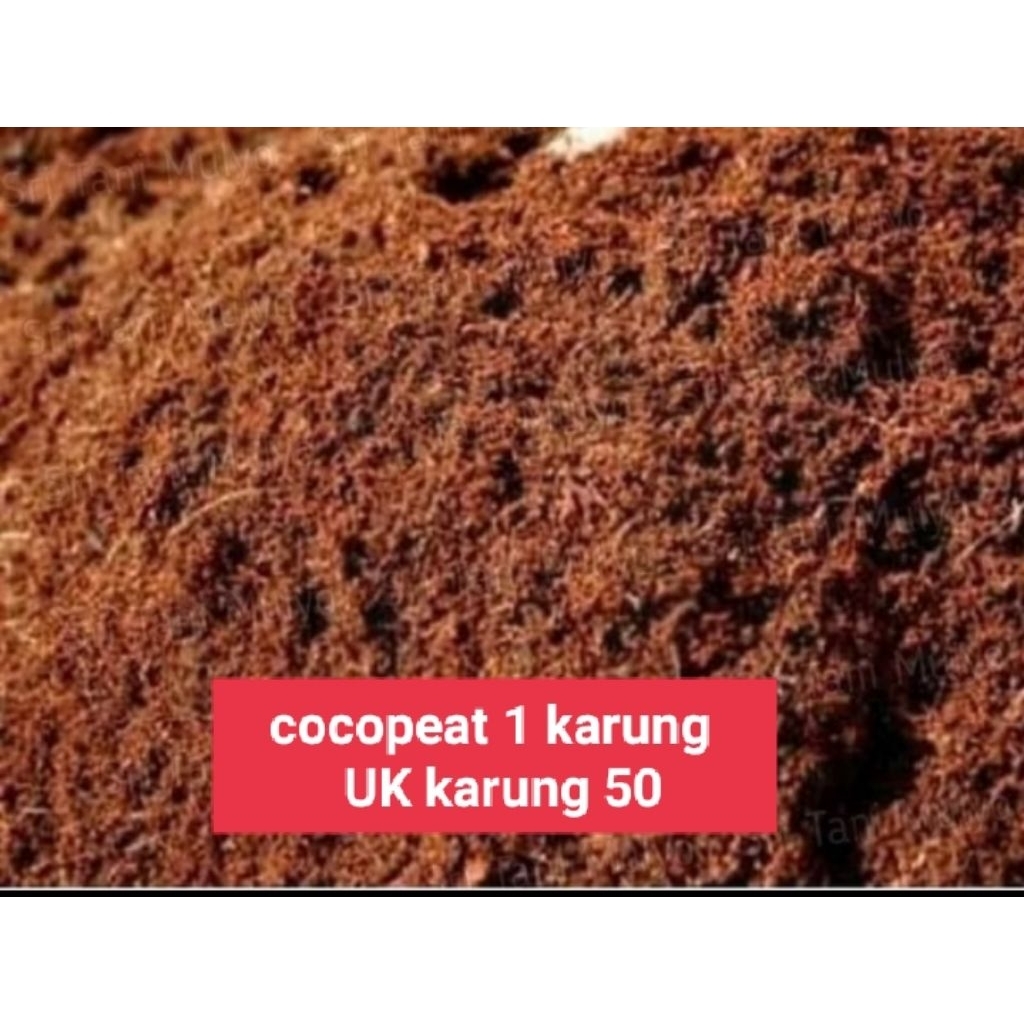 1 karung cocopeat uk karung 50 untuk media tanam