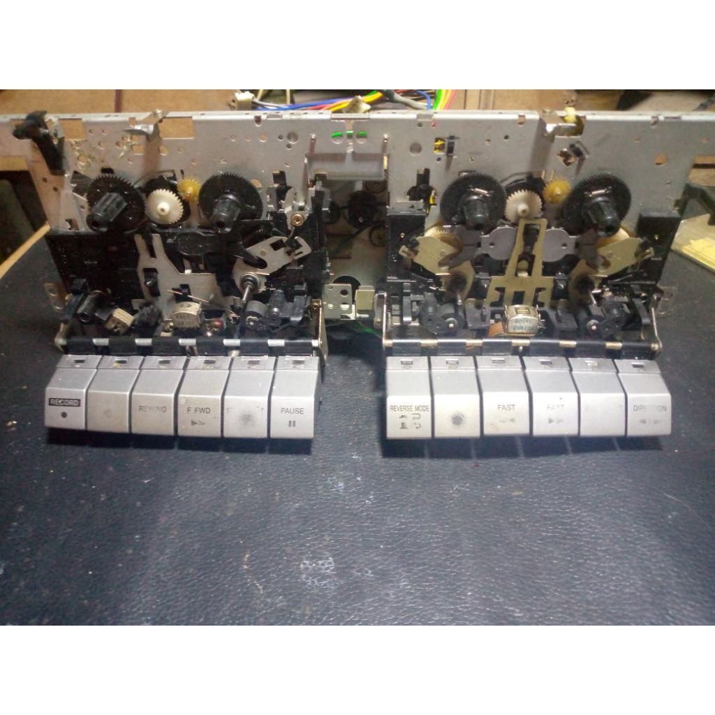 Mekanik Tape Sharp Simba Hidup Normal