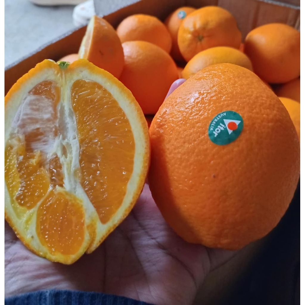 

Sunkist Valencia / Segerr Fresh