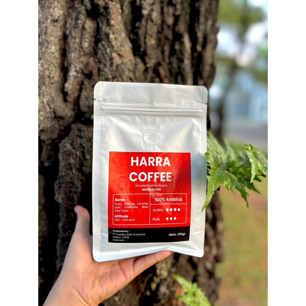 

Green Beans Arabica Speciality Mandheling Coffe Roasted 250gr 500gr 1000gr