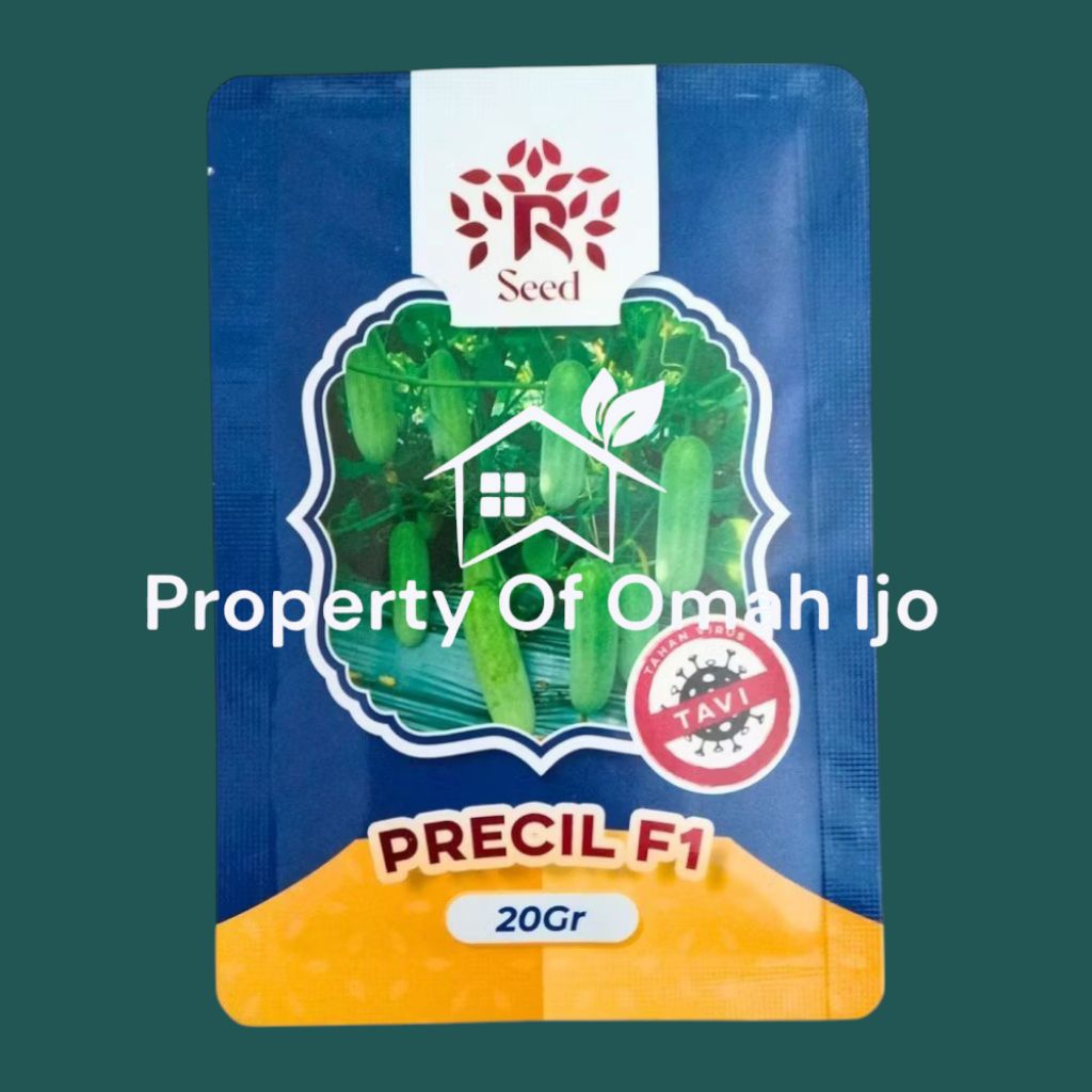 Benih Timun Precil F1 20gr R Seed Baby Cucumber Tahan Gemini