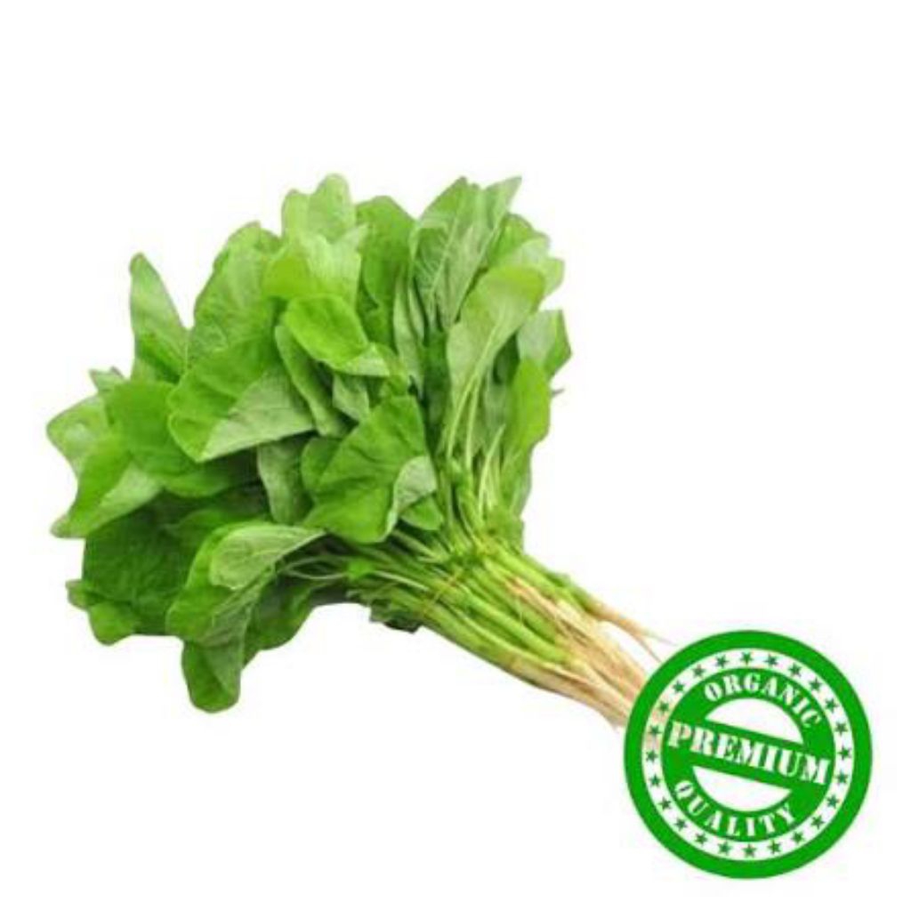 

Sayuran Daun Bayam/Bayem Fresh 1 ikat