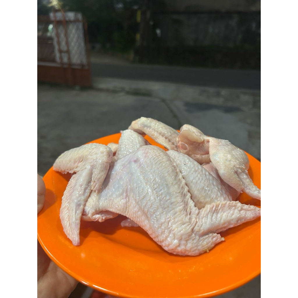 

Sayap Ayam 1 Kg