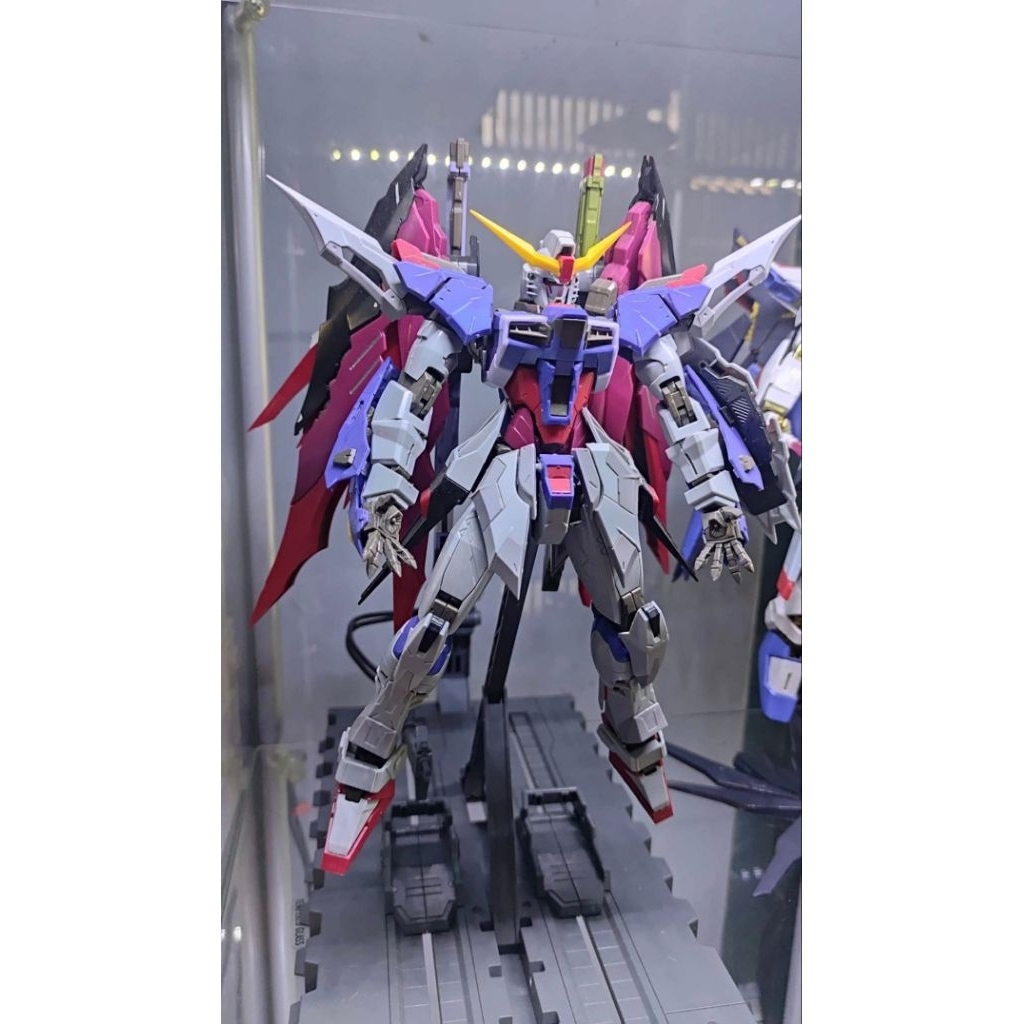 MG Destiny Dragon Momoko