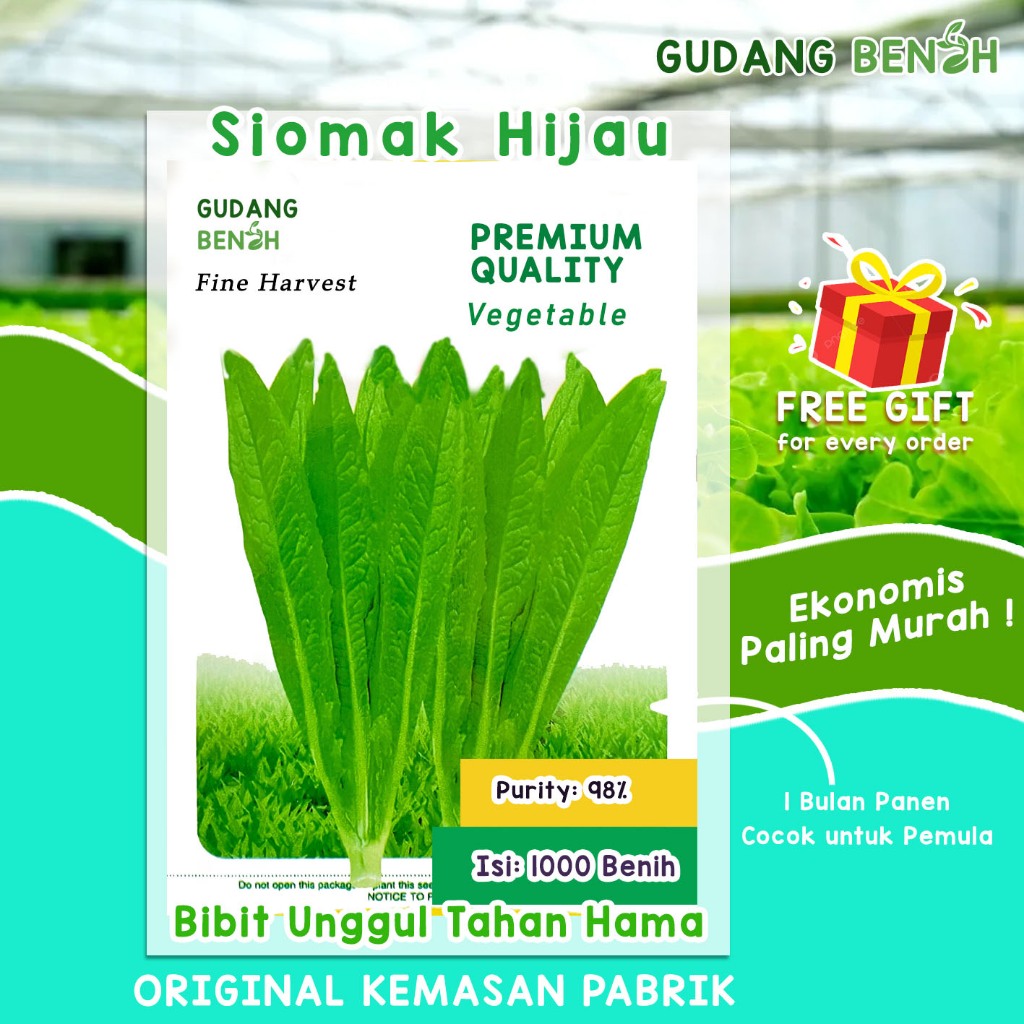 [EKONOMIS] Benih Sayur Siomak / Bibit Sayuran Siomak, Fumak (KEMASAN PABRIK) Isi 1000 Benih