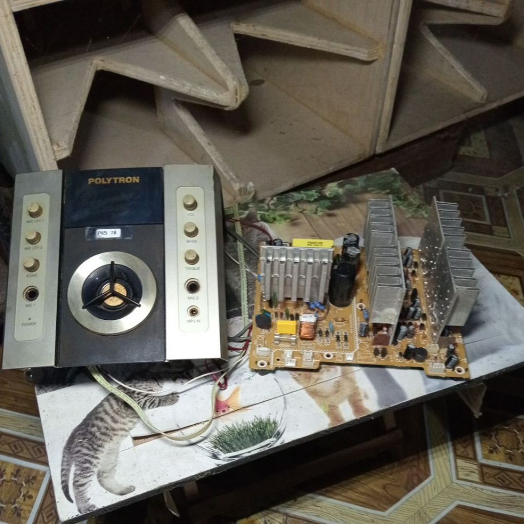 polytron PAS 78 (set & ecer)