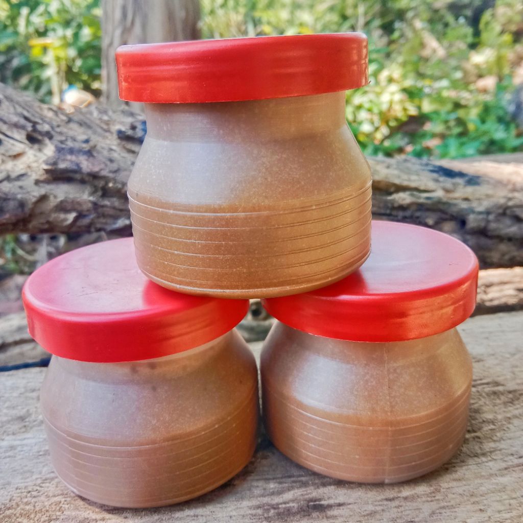 

PAKET HEMAT! 12 pcs / 1 lusin petis asin khas madura asli