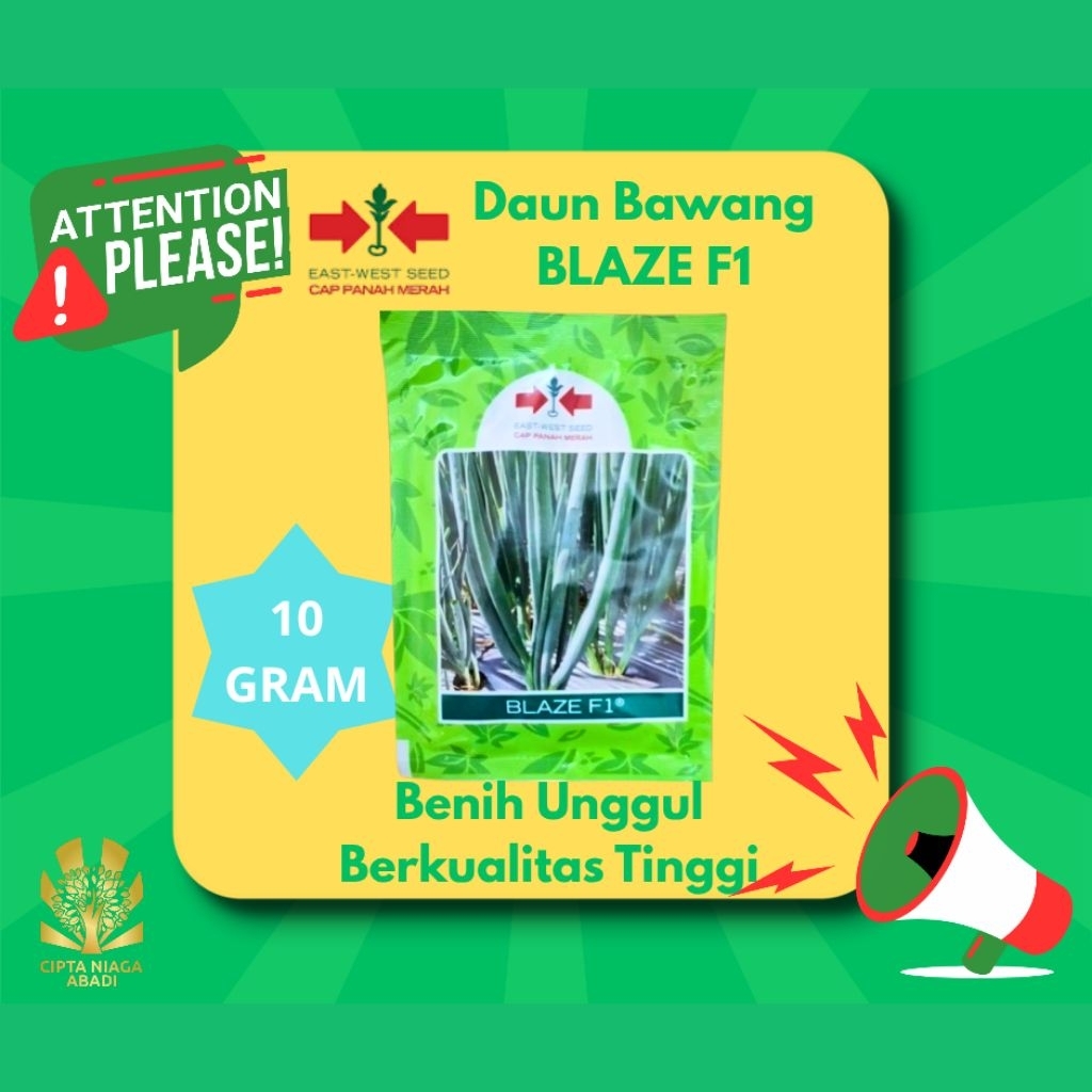 Benih Daun Bawang BLAZE F1