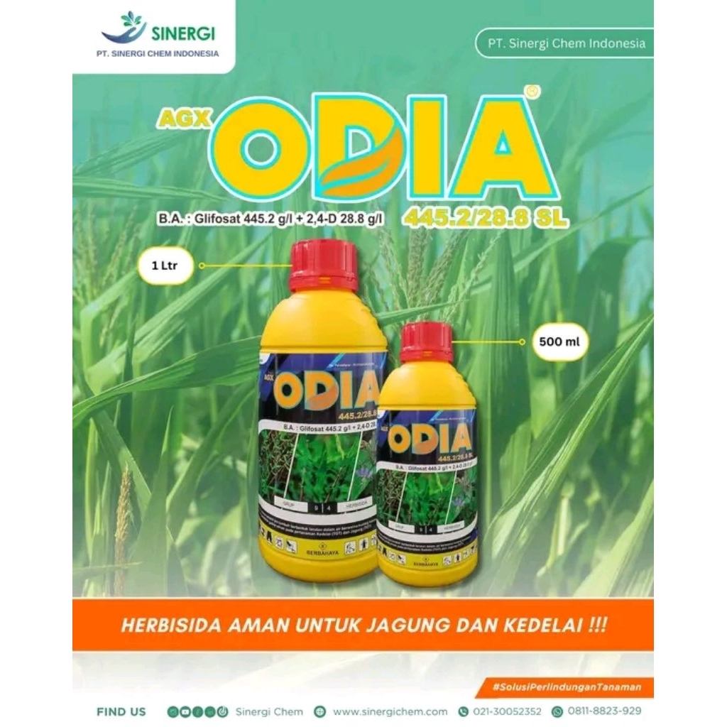 ODIA herbisida sistemik