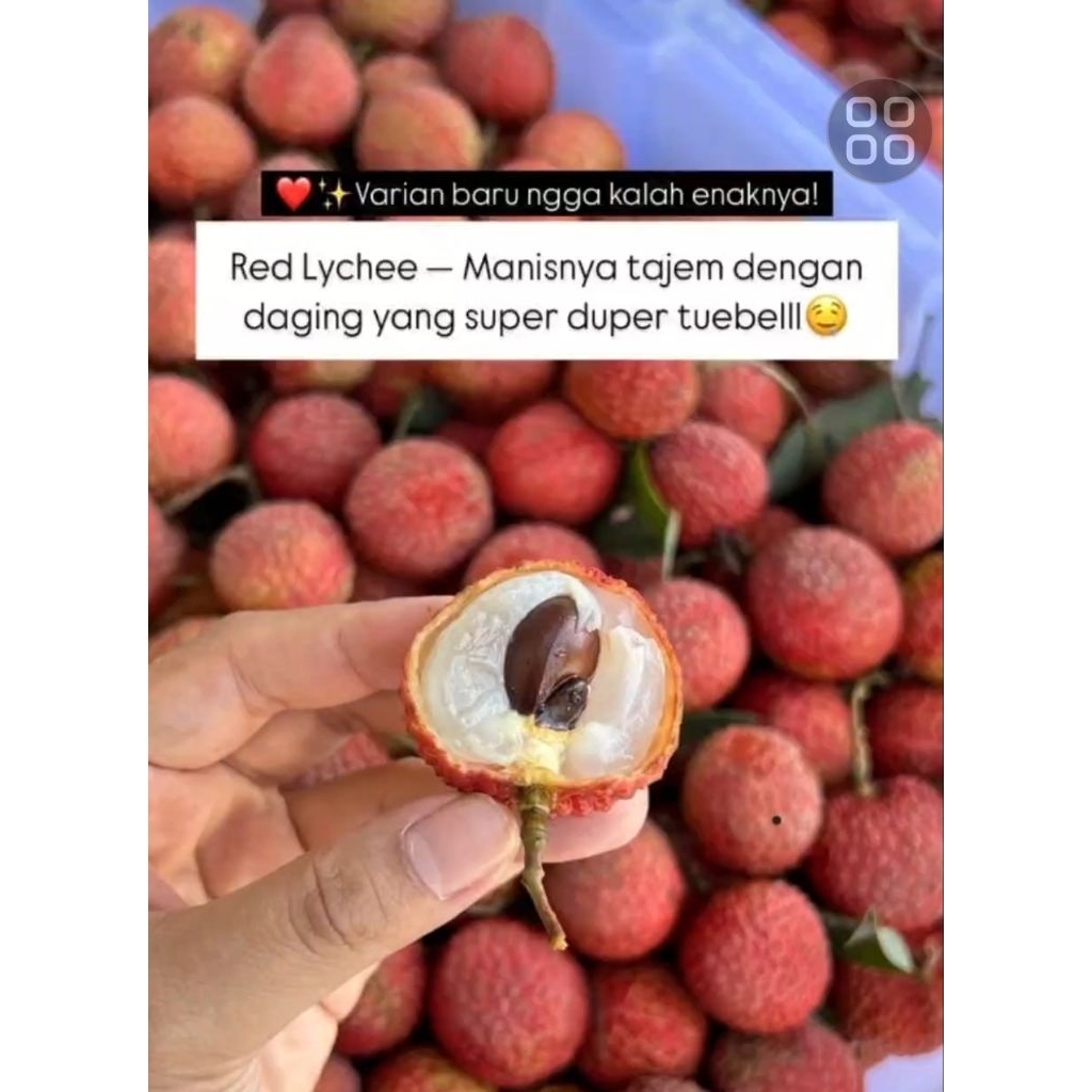 

leci merah fresh 1 kg