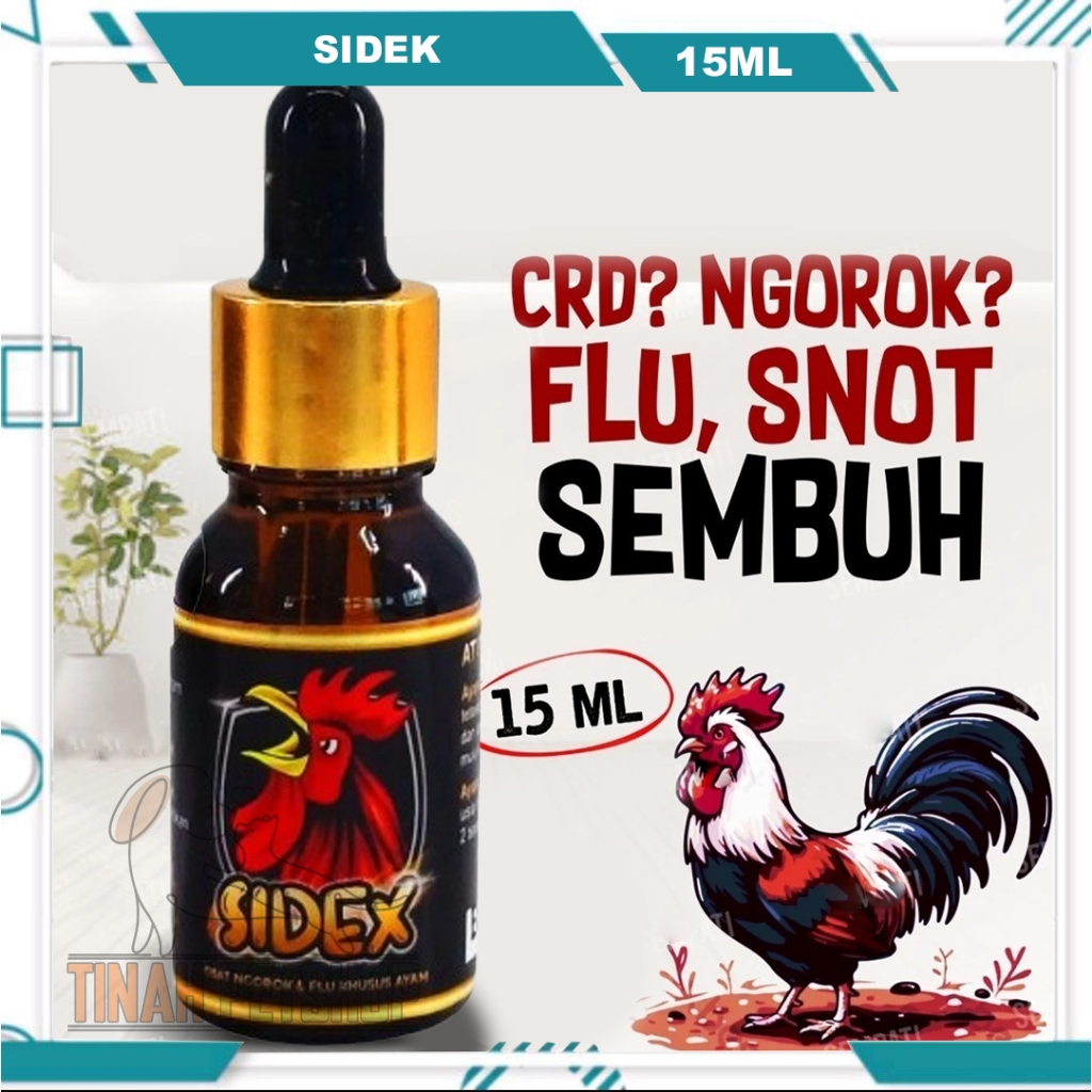 Sidex Sideks Obat Ayam Ngorok CRD Snot Pilek Flu Radang Tenggorokan Obat Ayam Jago Laga Aduan Petaru