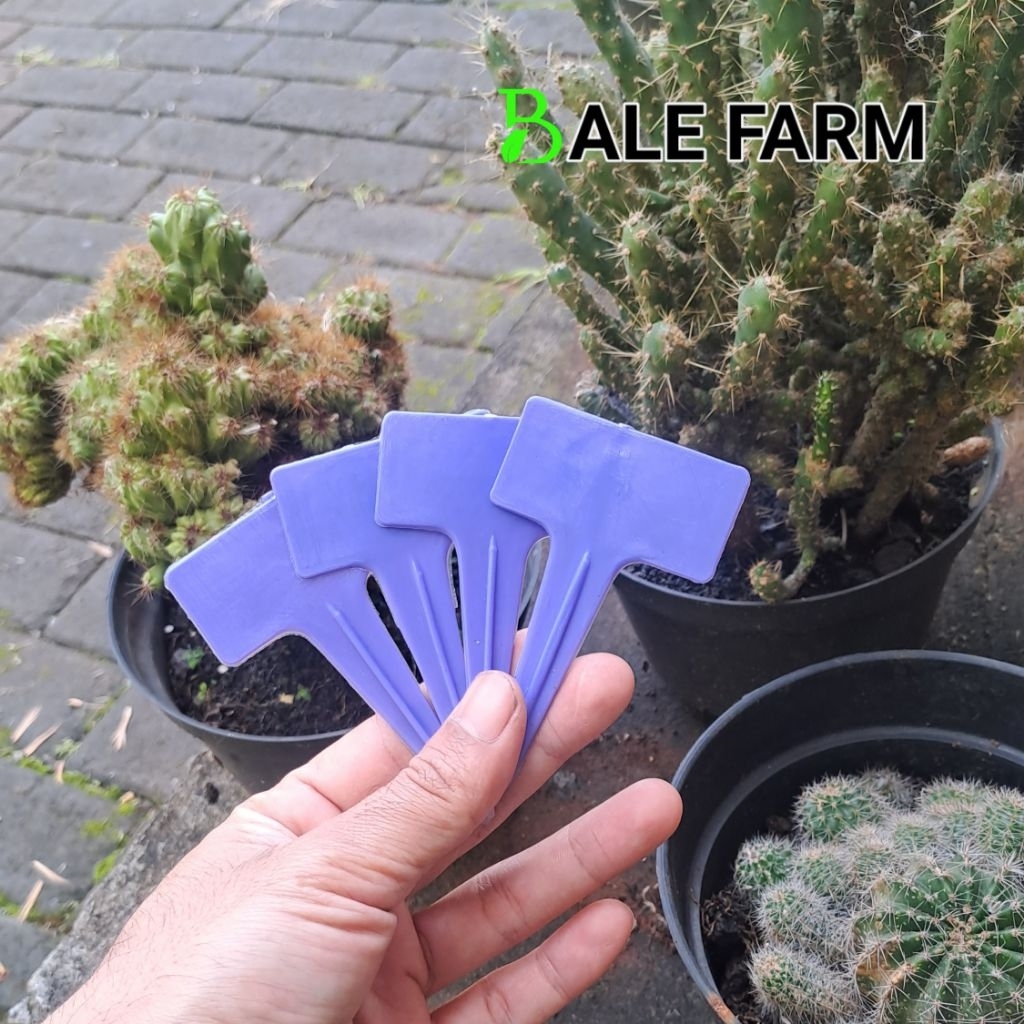 

100pcs name tag label tanaman ungu