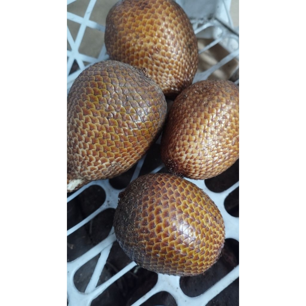 

1kg salak