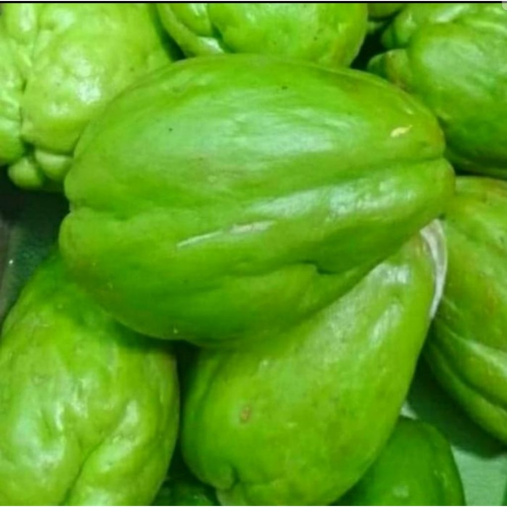 

Labu Siam besar per 1 pcs