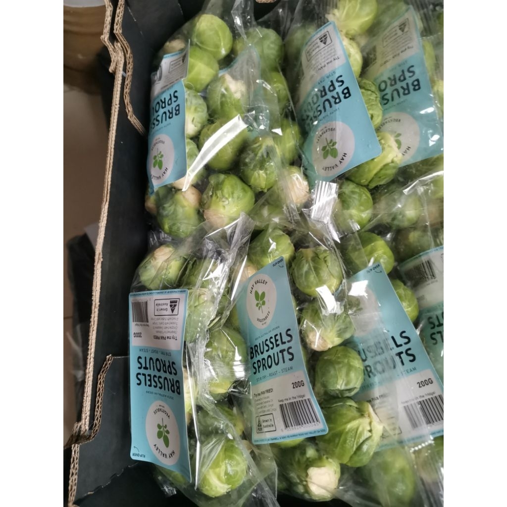 

Brussel Sprout Fresh - kol mini - Kubis Mini - Brussel Sprout import