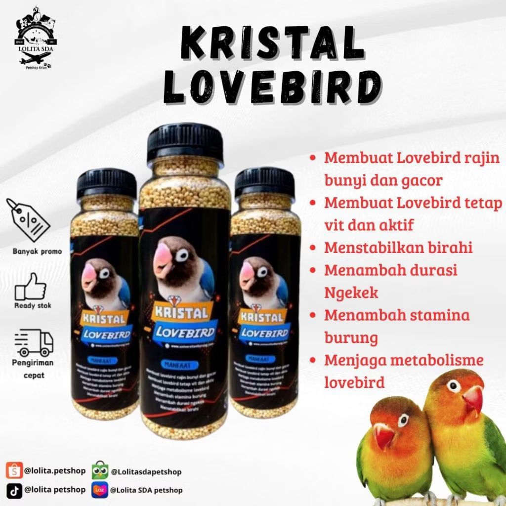 GACOR KRISTAL / PAKAN LOVEBIRD GACOR / VITAMIN LOVEBIRD GACOR / MAKANAN BURUNG / VITAMIN BURUNG
